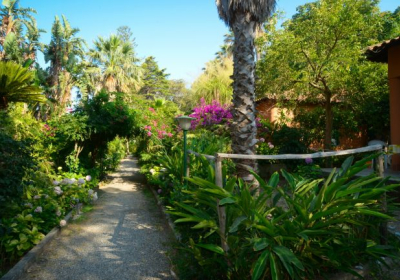 Casa Vacanze Le Palme Garden